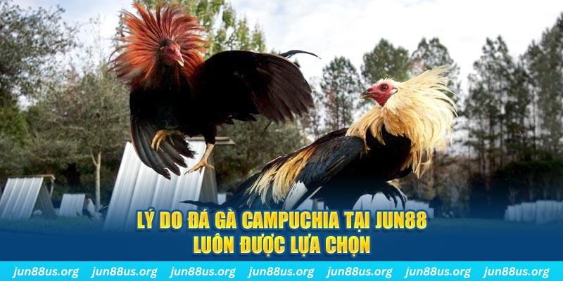 sin88 bet nổ hủ máy bay