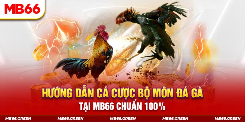 sin88 bet xổ số bình định