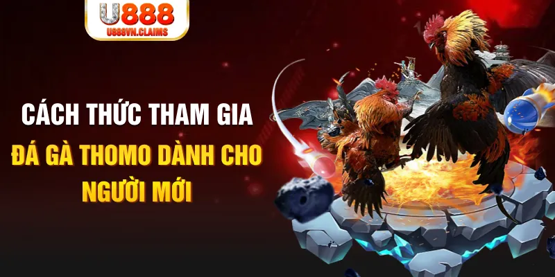 sin88 bet kết quả xổ số miền nam