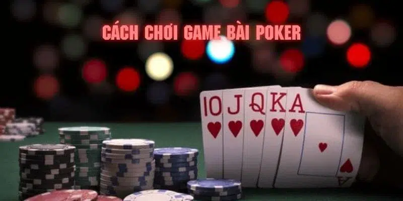 sin88 bet Anda bạn quán ba hal