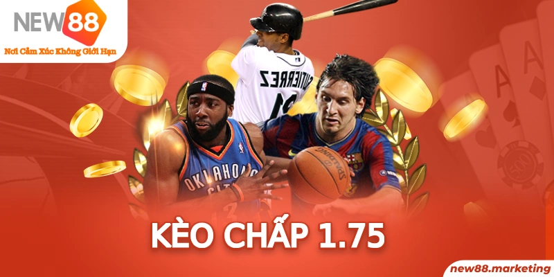 sin88 bet Ws168 Đá Gà