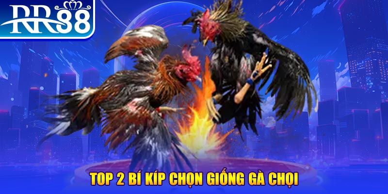 sin88 bet đăng nhập poker số 1