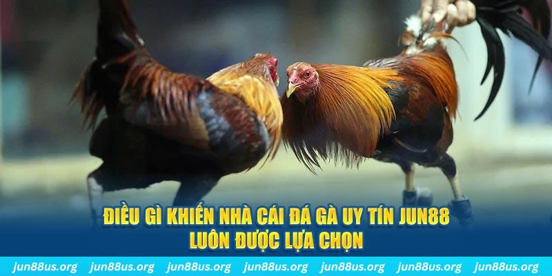 sin88 bet qq88 nổ hũ bắn cá