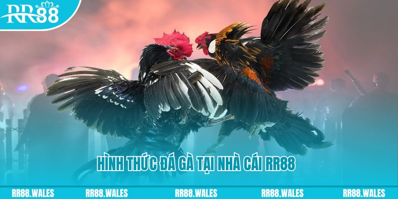 sin88 bet PS Điện Tử
