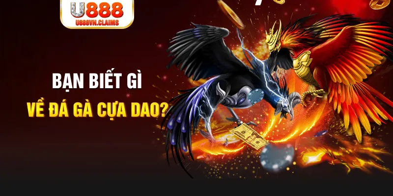 sin88 bet xổ số kiến thiết
