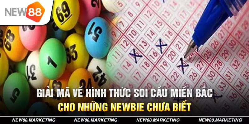 sin88 bet đăng nhập mậu binh live
