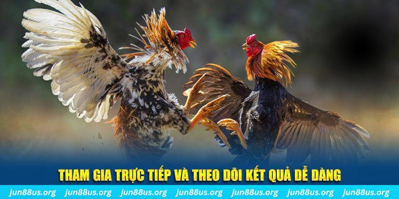 sin88 bet đá gà trực tiếp bình luận viên