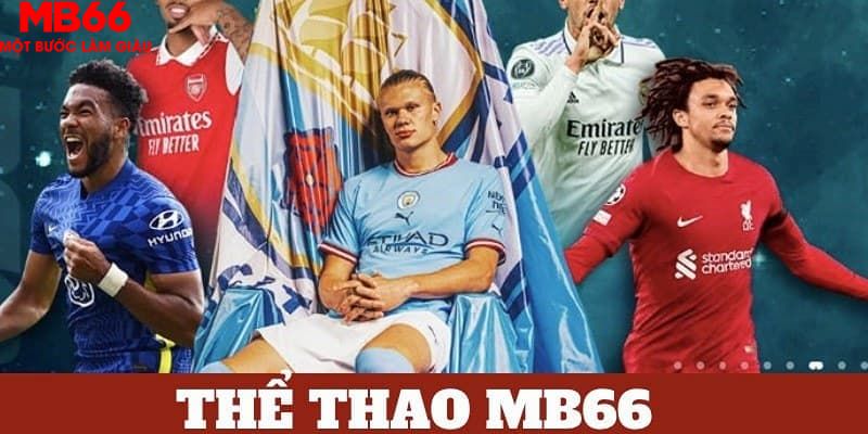sin88 bet tỷ lệ cá cược châu á là gì