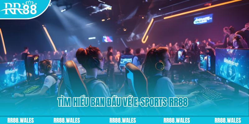 sin88 bet Đĩa màu ace