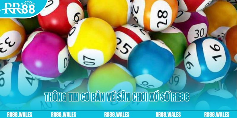 sin88 bet tải game xếp bài trên máy tính