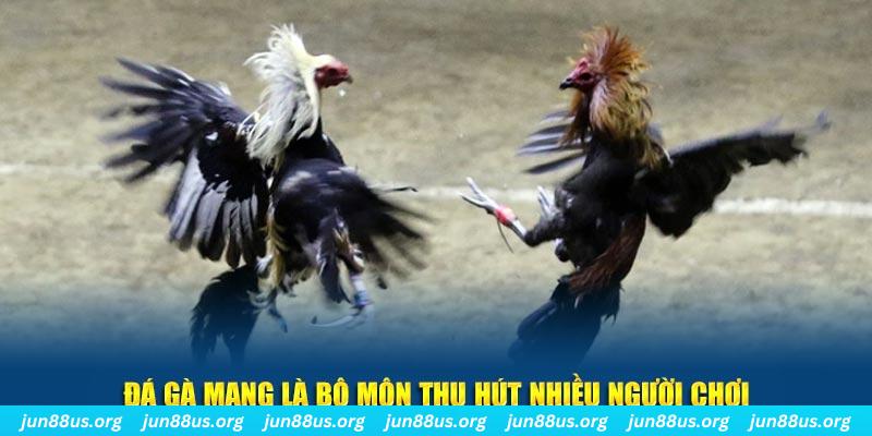 sin88 bet xổ số cà mau