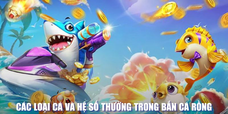 sin88 bet loi game dot kich ket noi may chu that bai