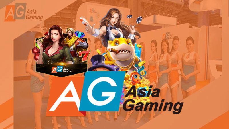 sin88 bet xổ số miền bắc hàng ngày