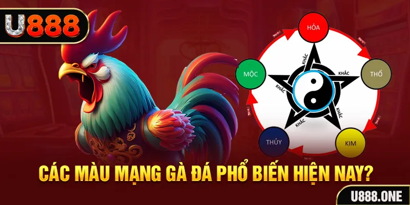 sin88 bet đăng nhập mậu binh