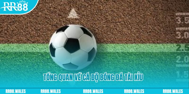 sin88 bet đăng nhập lô đề online