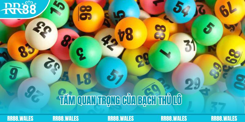 sin88 bet RTG Game Bài 3d
