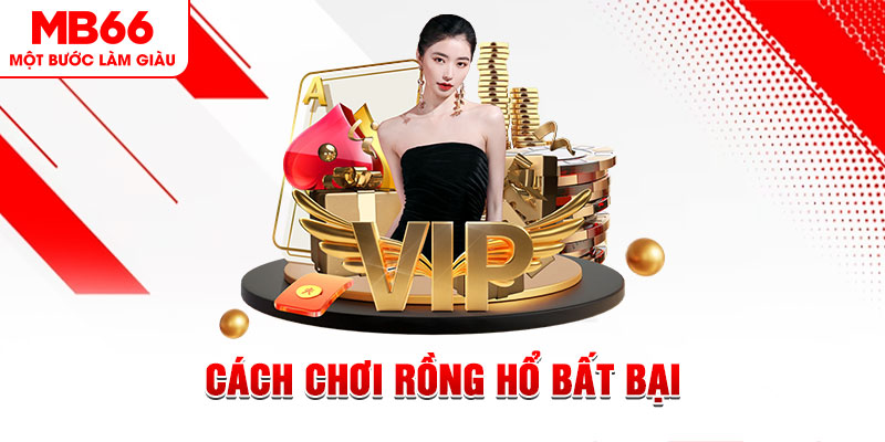 sin88 bet gà chọi cậu thanh
