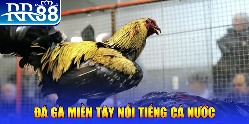 sin88 bet xo so hom nay