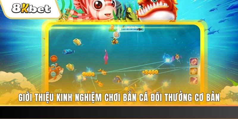 sin88 bet xổ số miền bắc thứ năm hàng tuần