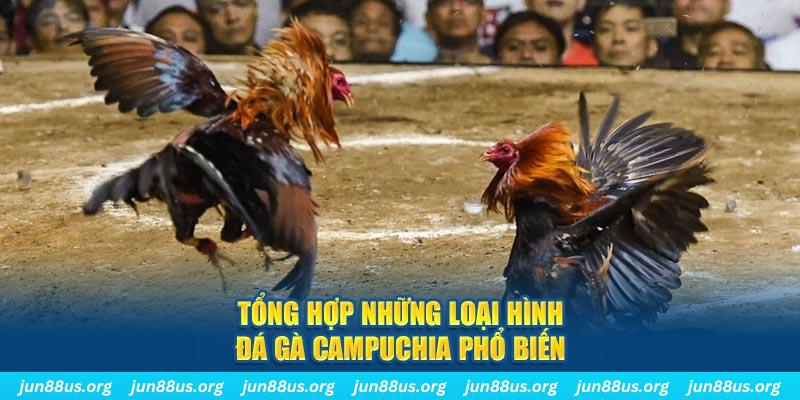 sin88 bet ON Trực Tuyến