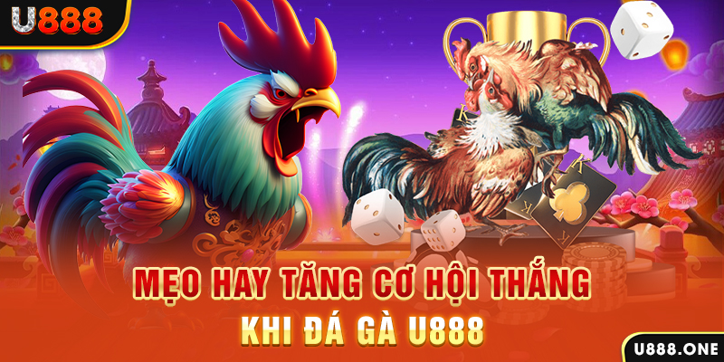 sin88 bet trực tiếp gà chọi c1