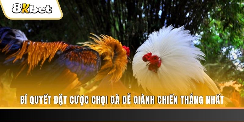 sin88 bet Tài Xỉu 2