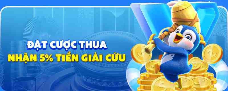 sin88 bet gà chọi cu cần