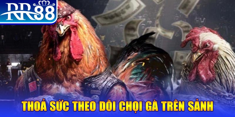 sin88 bet đá gà 88.com
