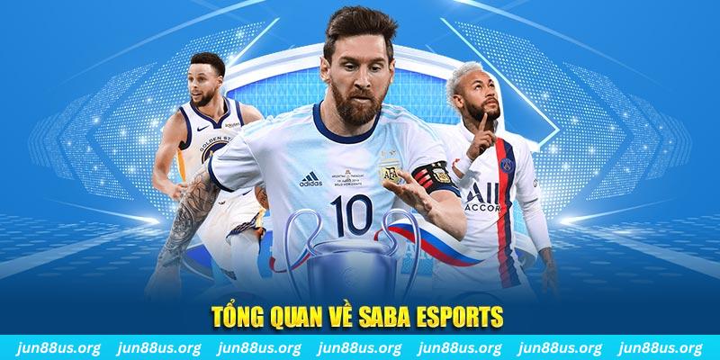 sin88 bet gà chọi c1 tv trực tiếp hôm nay