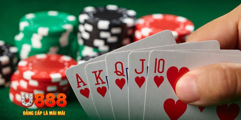 sin88 bet trực tiếp đá gà